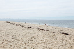 Beach at Meadow Beach, Cape Cod, Massachusetts, USA