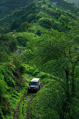 Cape Verde, Island Santiago, rain season , mountains, landrover, dirt road.