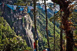 Blick zum Kloster Taktsang oder Tigernest mit Bäumen und Gebetsfahne, Bhutan, Himalaya, Asien