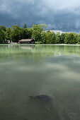 Blick auf das Seehaus am Hinterbrühler See mit Karpfen im Vordergrund, München, Bayern, Deutschland
