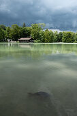 View of the Seehaus on Hinterbrühler See with carp in the foreground, Munich, Bavaria, Germany