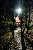 View from behind of a large Santa Claus at a Christmas tree sale, Munich, Bavaria, Germany