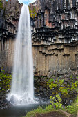 Svartifoss waterfall with basalt columns, Skaftafell National Park, Eastern Iceland, Iceland, Europe