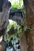 Blick in die Schlucht Pont du diable, Geopark Chablais, La Vernaz, Frankreich, Europa,