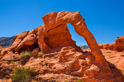 Felsformation in Elefantenform im Valley of Fire, USA\n