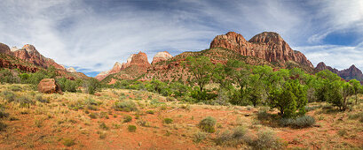 Red mountains with green vegetation in Zion National Park, USA