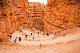 Touristen am Wall Street Canyon im Bryce Canyon Nationalpark, USA\n