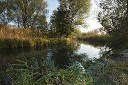 Small canal on the Spreewald, Brandenburg, Germany