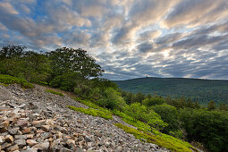 White wall, quartzite field at Altkönig near Königstein im Taunus, view to Feldberg, Taunus, Hesse, Germany