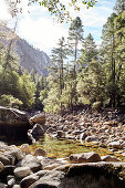 Ruhiger Wasserlauf des Merced River im Yosemite Park, Kalifornien, USA