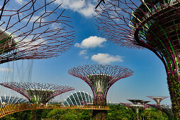 Gewächshaus, Türme und begehbare Plattform des Gardens by the Bay, Singapore