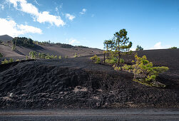 Volcano landscape at Llanos del Jable, La Palma, Canary Islands, Spain, Europe