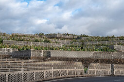 Mauern der Bananen Plantage bei Tazacorte, La Palma, Kanarische Inseln, Spanien, Europa
