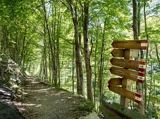 Sentiero dello Spirito, Trail leading to Cappella Rupestre di Ripa Rossa, Majella National Park, Abruzzo, Italy