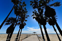Palmen und Sonnenschirm am Strand mit dem Pazifik im Hintergrund, Santa Monica beach, Kalifornien, USA