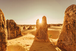 Sonnenaufgang bei den Pinnacles im Nambung Nationalpark in Westaustralien Australien, Ozeanien