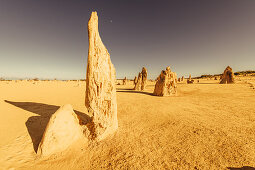 Sonnenaufgang bei den Pinnacles im Nambung Nationalpark in Westaustralien Australien, Ozeanien;