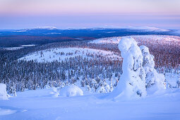 Snow-covered trees on the hills of Luosto, Finland
