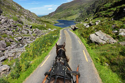 Kutschenfahrt auf der Gap of Dunloe Road, Augher See, Grafschaft Kerry, Irland, Europa
