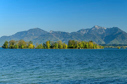 View of Chiemsee and Krautinsel with Hochfelln and Hochgern in the background, Chiemsee, Chiemseeradweg, Chiemgau, Upper Bavaria, Bavaria, Germany