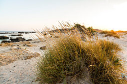 Elafonissi Strand mit pinkem Sand zum Sonnenuntergang, Südwesten Kreta, Griechenland