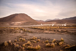 El Tatio Geysire, Atacama Wüste, Region Antofagasta, Chile, Südamerika