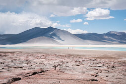 Lagune Piedras Rojas, Lagunas Altiplanicas, Hochebene „Altiplano“, Atacama Wüste, Region Antofagasta, Chile, Südamerika