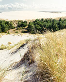 Lontzkedüne near Leba, Pomerania, Baltic Sea, Poland