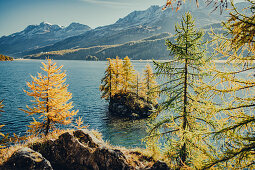 Inseln im Silsersee bei Sonnenaufgang, Oberengadin, Sankt Moritz im Engadin, Schweiz, Europa