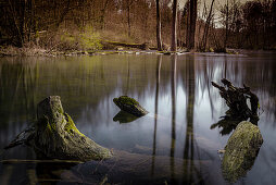 The Würm at Gauting. Detailed pictures of the river Würm with driftwood, tree trunks and rapids. Quaint and natural landscape. Gauting, Starnberg, Upper Bavaria, Bavaria, Germany, Europe