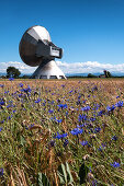 View of the parabolic mirror in Raisting at the earth station, Raisting, Bavaria, Germany, Europe