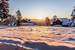 Snowy winter landscape with coniferous forest at sunrise, Himmelberg, Carinthia, Austria