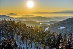 Snowy winter landscape with coniferous forest at sunrise, Himmelberg, Carinthia, Austria