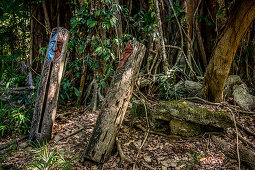 Holzfiguren auf einem Ritual Platz, Wala Island, Malekula, Vanuatu, Südsee, Ozeanien