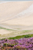 Abstrakt ist die Bucht Sable d Or bei Erquy bei Ebbe. Zwischen Cap Frehel und Cap Erquy gelegen. Bretagne, Frankreich.