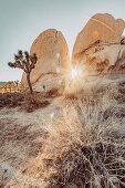 Sonne scheint durch Felsspalt im Joshua Tree National Park, Joshua Tree, Los Angeles, Kalifornien, USA, Nordamerika