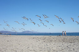 Möwen und Spaziergänger am Strand von Santa Barbara, Kalifornien, USA.