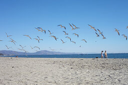 Seagulls and strollers on Santa Barbara Beach, California, USA.