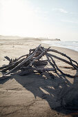 Treibholz am Strand des Hearst San Simeon State Parks\nam frühen Morgen, Kalifornien, USA.