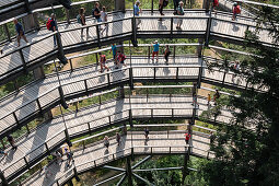 Blick auf die Besucher auf dem Aussichtsturm am Baumwipfelpfad in Neuschönau, Nationalpark Bayerischer Wald, Neuschönau, Bayern, Deutschland, Europa