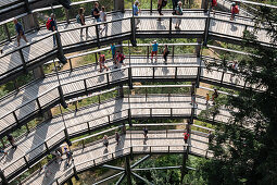 View of the visitors on the observation tower on the treetop path in Neuschönau, Bavarian Forest National Park, Neuschönau, Bavaria, Germany, Europe