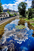 Poppeldorfer Weiher in summer, Bonn, NRW, Germany