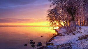 Wintermorgen mit Schnee bei Sonnenaufgang am Starnberger See, Bernried, Bayern, Deutschland