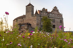 Flower meadow in front of Cadolzburg Castle in the evening light, Cadolzburg, Franconia, Bavaria, Germany