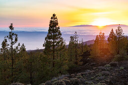 Sunset over the clouds in Teide National Park, Tenerife, Spain