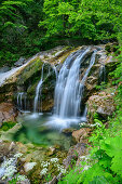 Wasserfall in der Pöllatschlucht, Schwangau, Oberbayern, Bayern, Deutschland