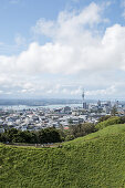 Auckland skyline seen from Mount Eden in New Zealand.