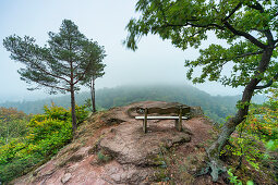 Blick vom Metilstein auf die Wartburg, Eisenach, Thüringen, Deutschland, Europa