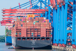 Containerschiffe am Terminal Burchardkai, Waltershof, Hamburg, Deutschland