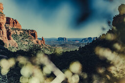Rock formations and forest near Sedona, Arizona, USA, North America, America